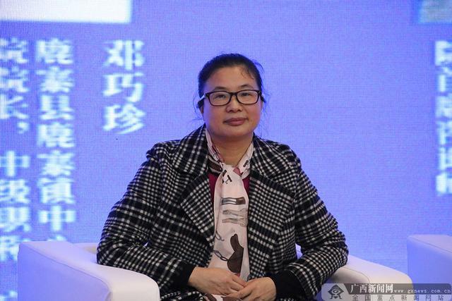 聚焦乡镇卫生院发展热点 专家圆桌建言献策